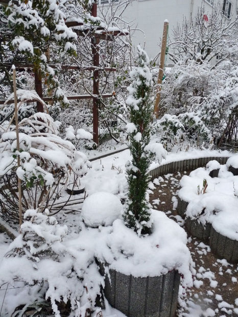  - 2023 - 04 - 2024 - 00 - Iarna