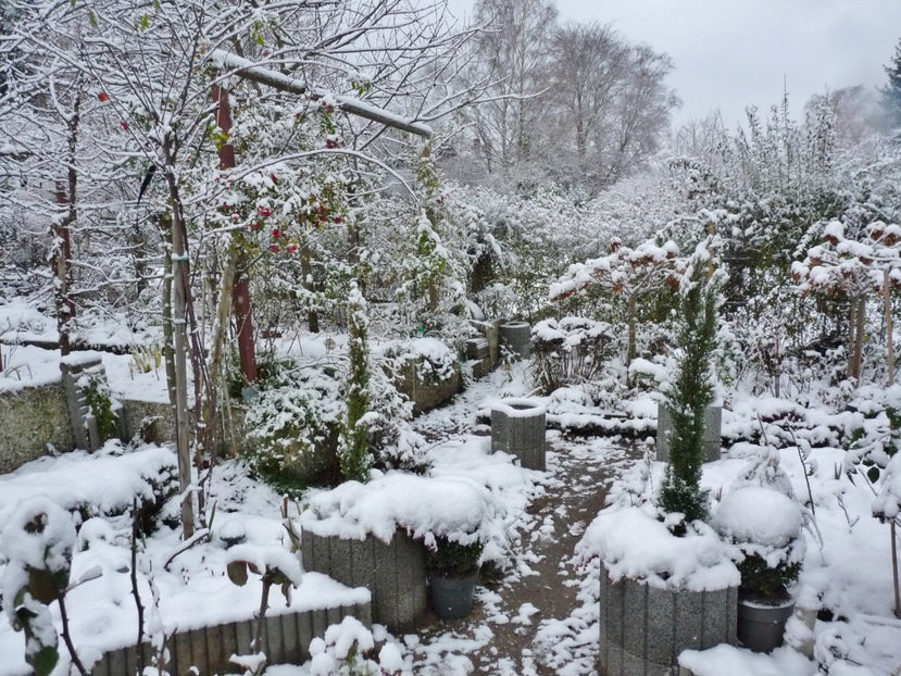  - 2023 - 04 - 2024 - 00 - Iarna