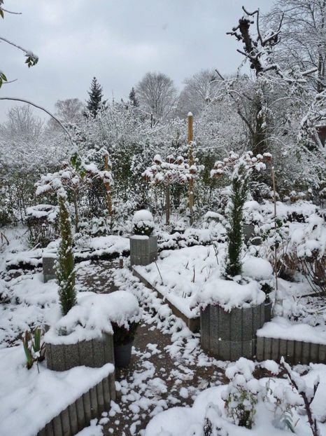  - 2023 - 04 - 2024 - 00 - Iarna