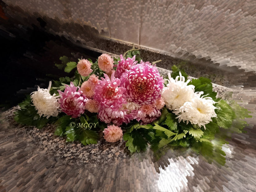 © - 01 - Floristica