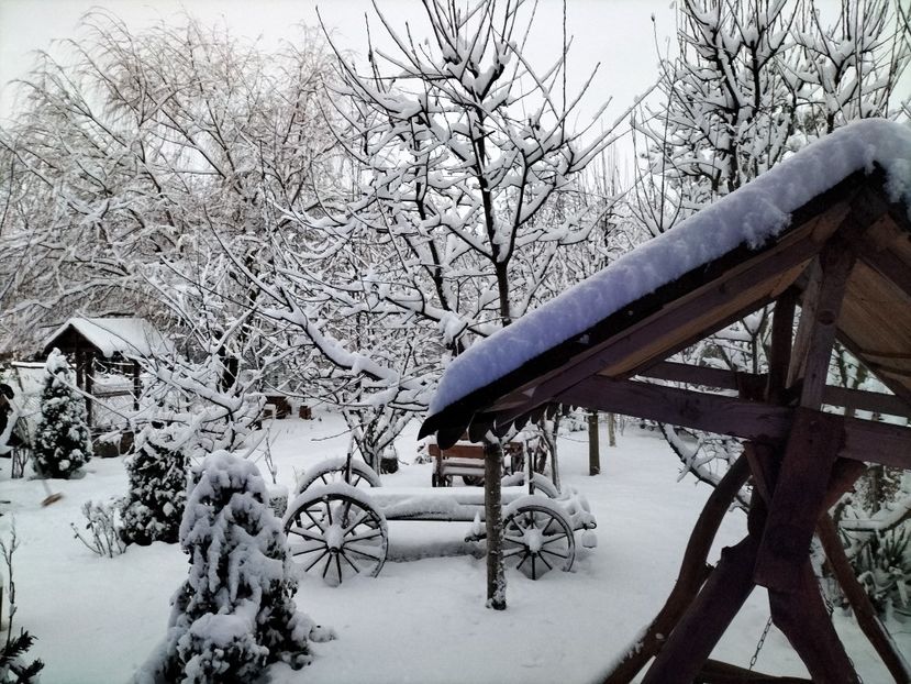 IMG20231224074811 - Iarna 2023 2024