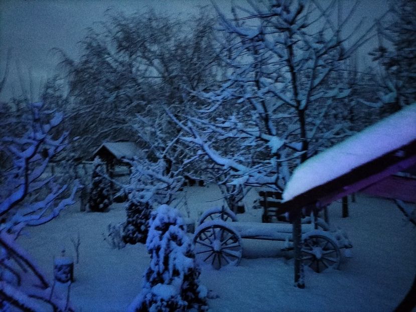 IMG20231224072855 - Iarna 2023 2024