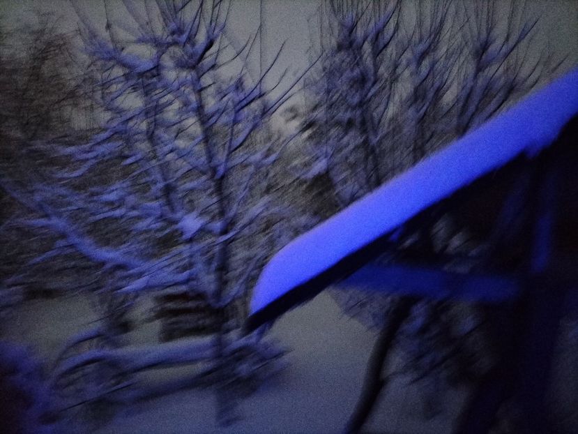 IMG20231224072848 - Iarna 2023 2024