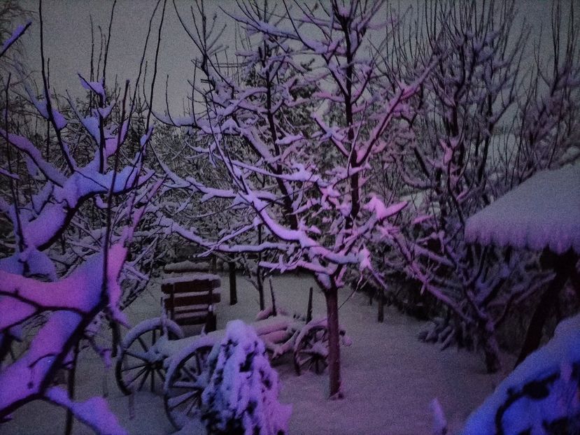 IMG20231224072836 - Iarna 2023 2024