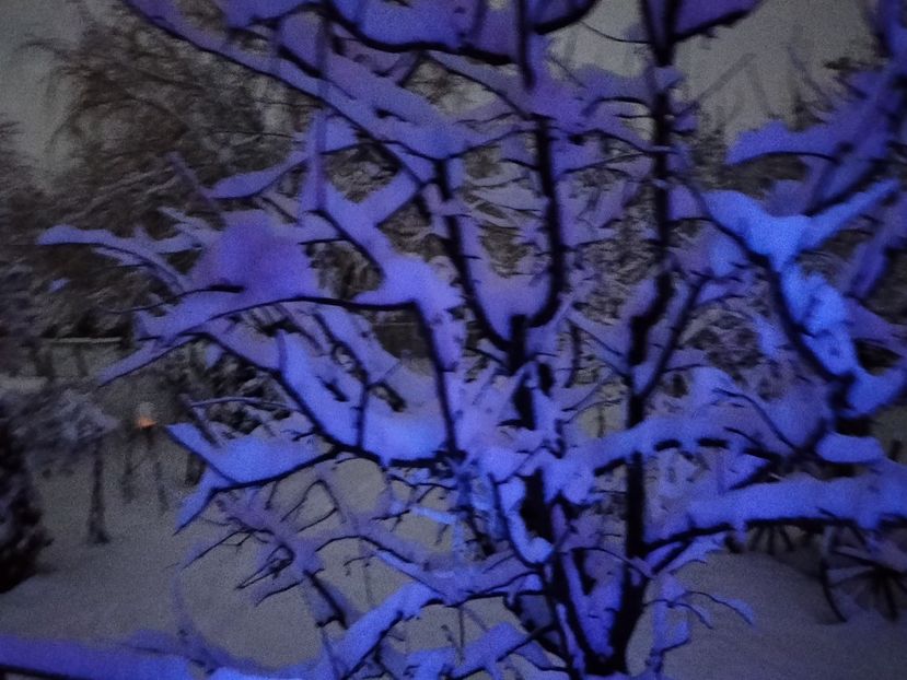 IMG20231224072828 - Iarna 2023 2024