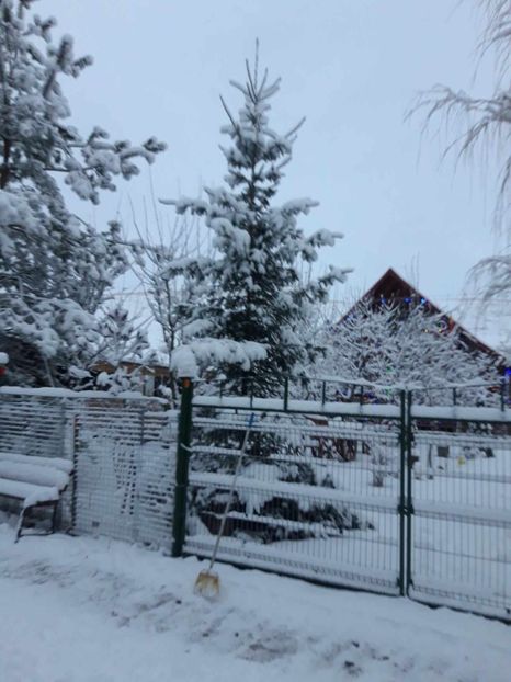 received_1134048644230806 - Iarna 2023 2024