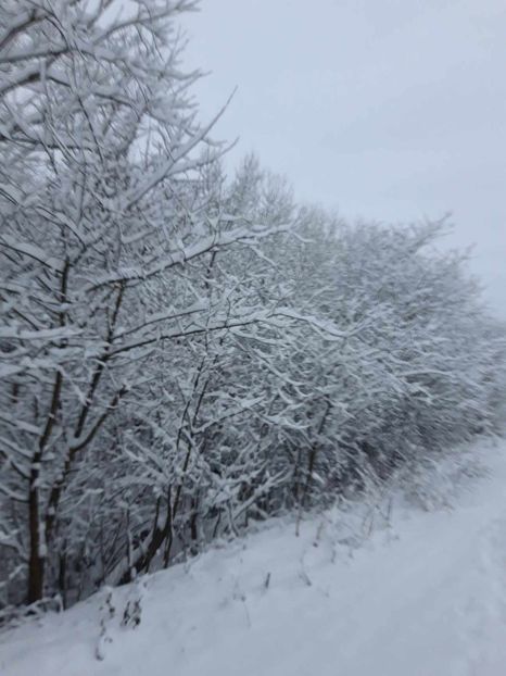 received_742853153866225 - Iarna 2023 2024