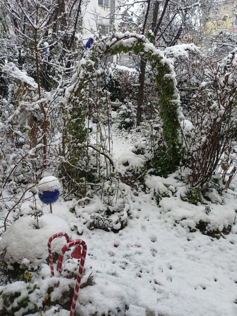 24.12.2023 - Grădina 2023 continuare 5