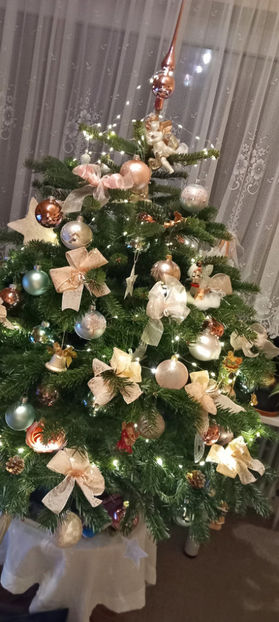  - 2023 - 04 - 2024 - 00 - Iarna