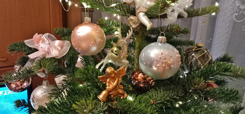  - 2023 - 04 - 2024 - 00 - Iarna