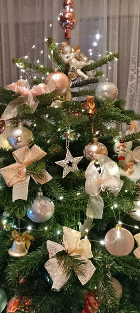  - 2023 - 04 - 2024 - 00 - Iarna