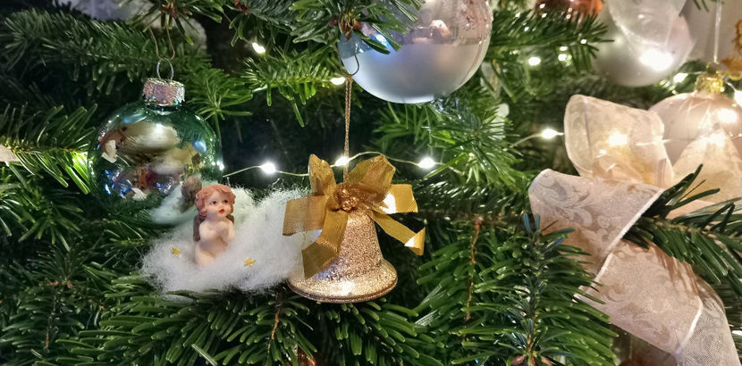  - 2023 - 04 - 2024 - 00 - Iarna