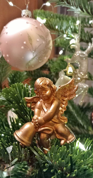  - 2023 - 04 - 2024 - 00 - Iarna