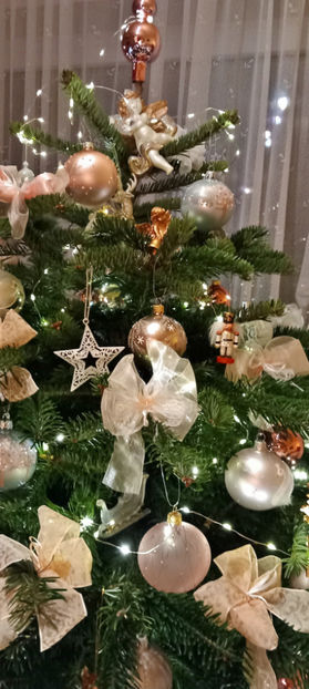  - 2023 - 04 - 2024 - 00 - Iarna