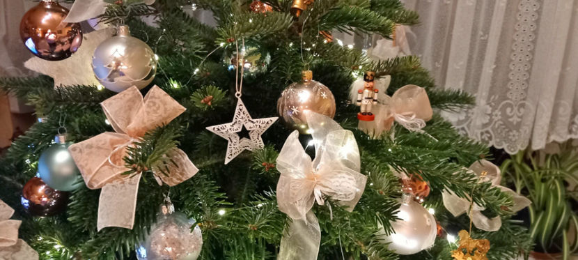  - 2023 - 04 - 2024 - 00 - Iarna