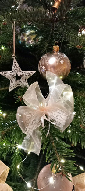  - 2023 - 04 - 2024 - 00 - Iarna