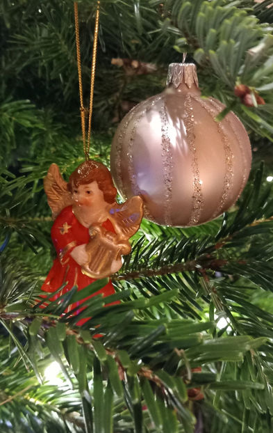  - 2023 - 04 - 2024 - 00 - Iarna