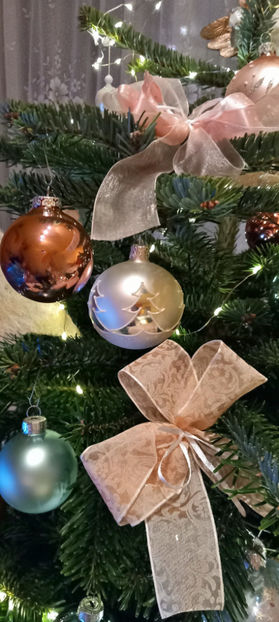  - 2023 - 04 - 2024 - 00 - Iarna