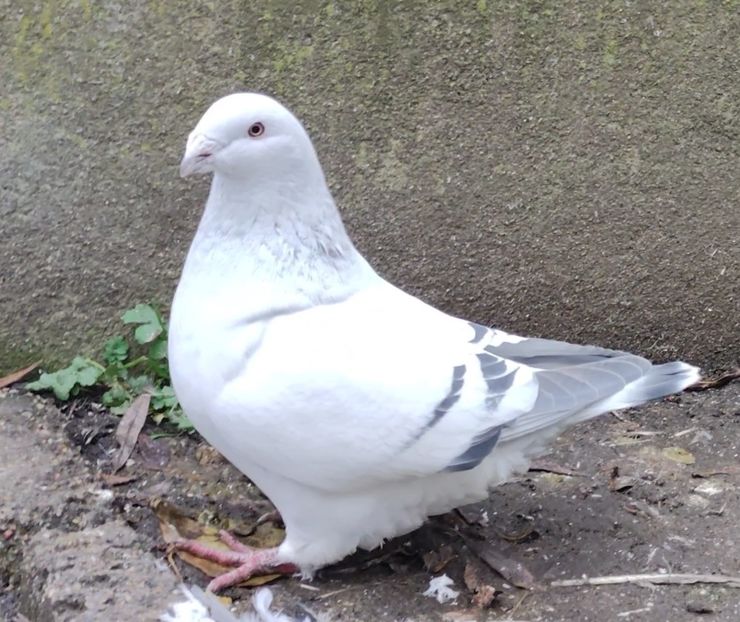 20 ARCHIWUM - j- MLODE -2023- Youth