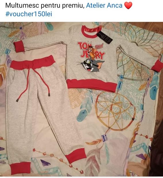  - Premii castigate la concursurile online