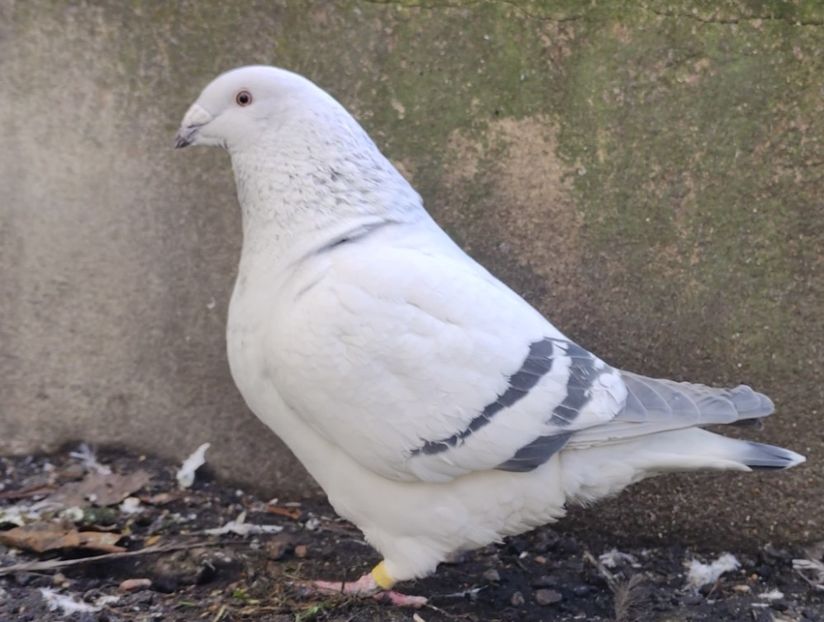 14 Archiwum - j- MLODE -2023- Youth