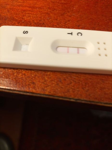 Imagine WhatsApp 2023-12-26 la 09.27.00_c7b9ceca - 2023 CRĂCIUN