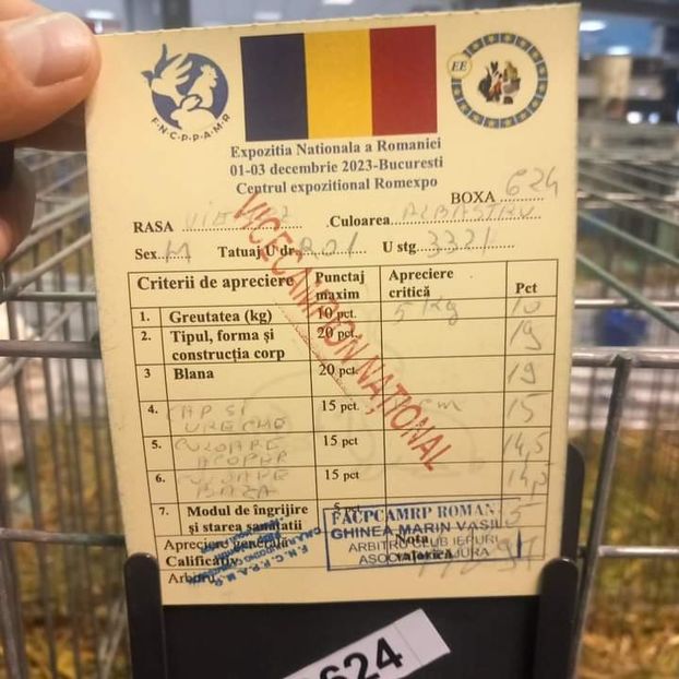  - Vienezi albastrii 2023