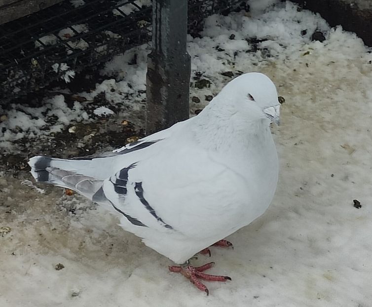 117 ARCHIWUM - j- MLODE -2023- Youth