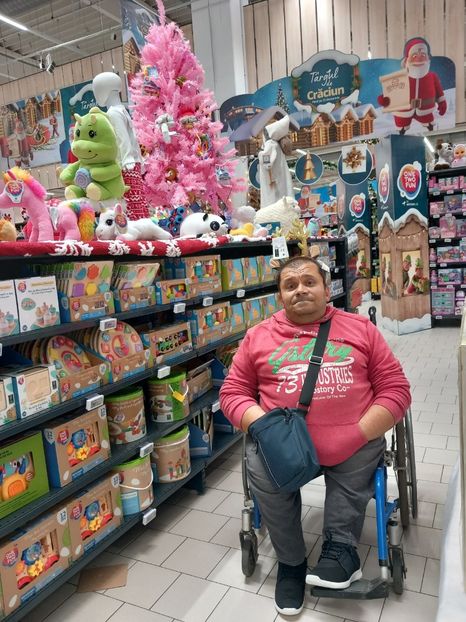 brad - Fotografiile Mele 2