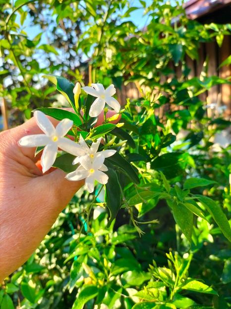 IMG20230927084735 - Noiembrie 2023