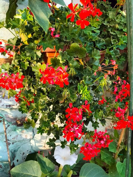 IMG20230927084626 - Noiembrie 2023