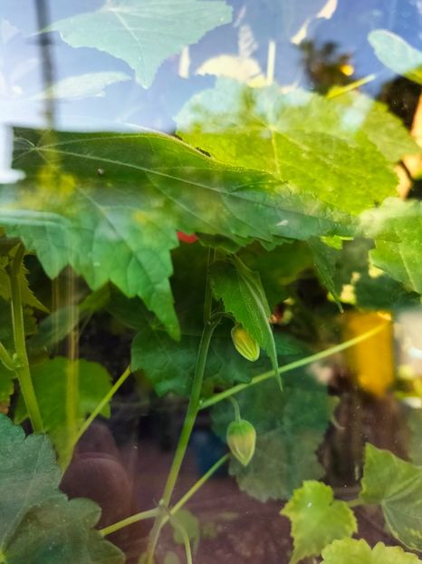 IMG20230927084606 - Noiembrie 2023