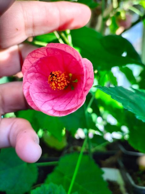 IMG20230927084544 - Noiembrie 2023