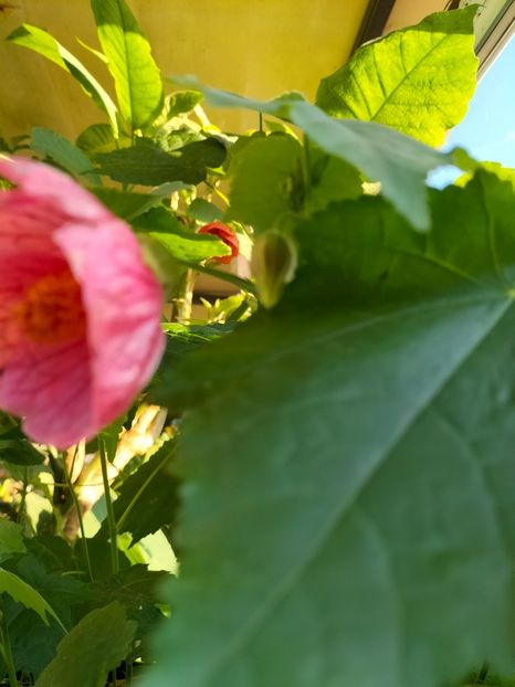 IMG20230927084523 - Noiembrie 2023