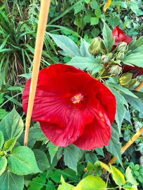 IMG20230920184156 - Noiembrie 2023