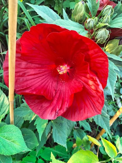 IMG20230920184146 - Noiembrie 2023