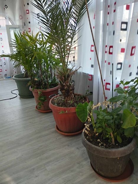 received_1435128513885161 - Noiembrie 2023