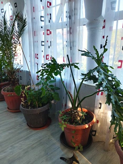 received_280618041443962 - Noiembrie 2023