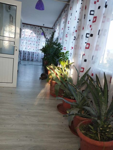 received_838723004481702 - Noiembrie 2023