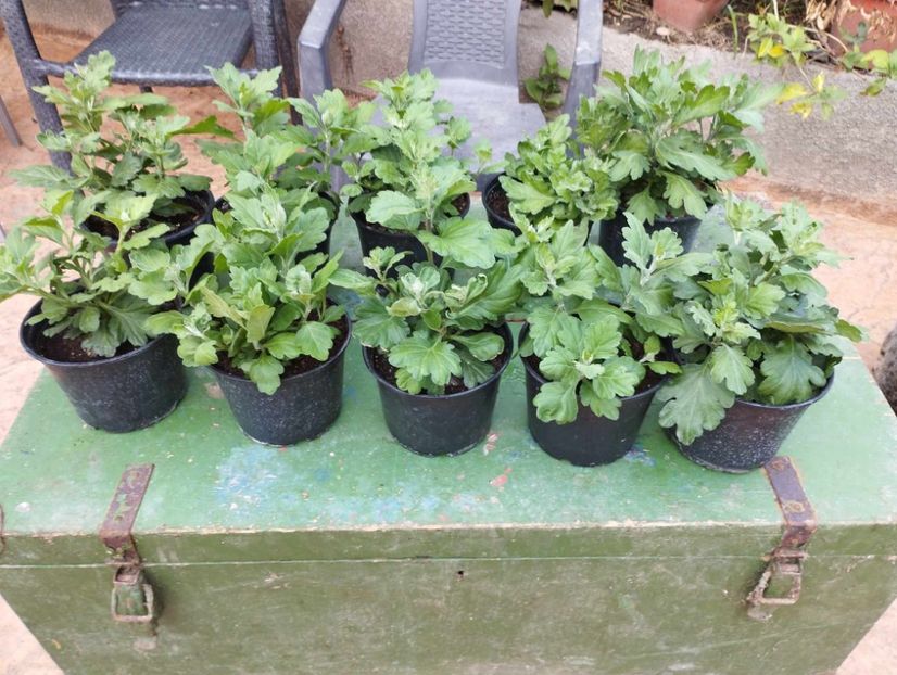 received_795111655743751 - Noiembrie 2023