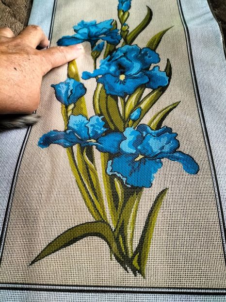 IMG20230914154124 - Noiembrie 2023