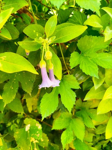 IMG20230908143930 - Noiembrie 2023