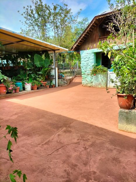 IMG20230829133558 - Noiembrie 2023