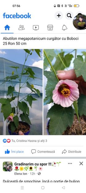 Screenshot_2023-08-24-07-56-13-80_a23b203fd3aafc6dcb84e438dda678b6 - Noiembrie 2023