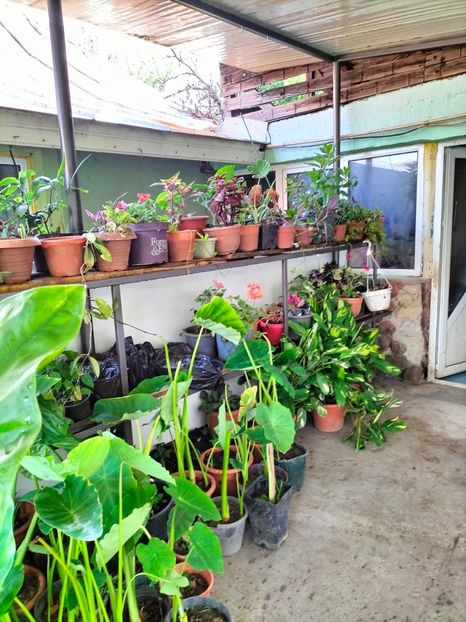 IMG20230806153035 - Noiembrie 2023