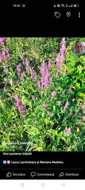 Screenshot_2023-08-05-19-31-28-68_a23b203fd3aafc6dcb84e438dda678b6 - Noiembrie 2023