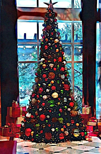 Pom de Craciun - Cristmas Tree - CANADIAN WINTER - Iarna Canadiana