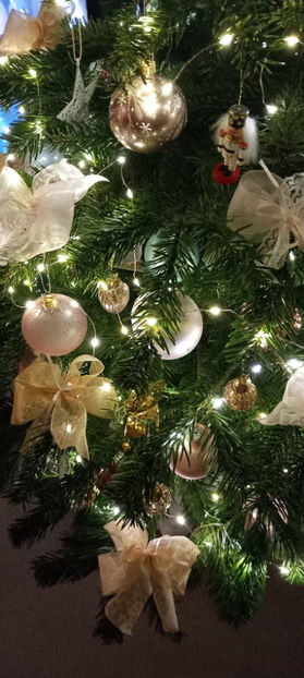 © - 2023 - 04 - 2024 - 00 - Iarna