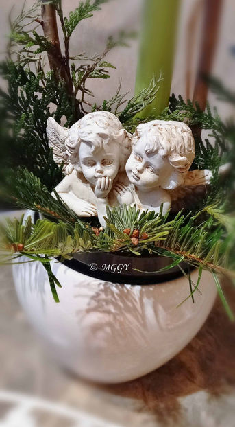 © - 2023 - 04 - 2024 - 00 - Iarna