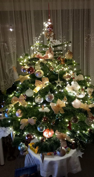 © - 2023 - 04 - 2024 - 00 - Iarna